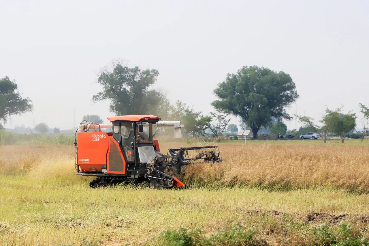 1767834739183269.jpg 1.jpg